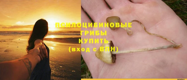 гидра Дмитров
