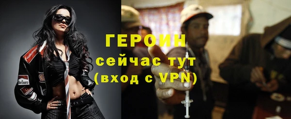 сатива Дмитровск