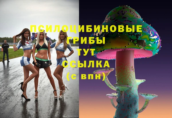гашиш Дмитриев