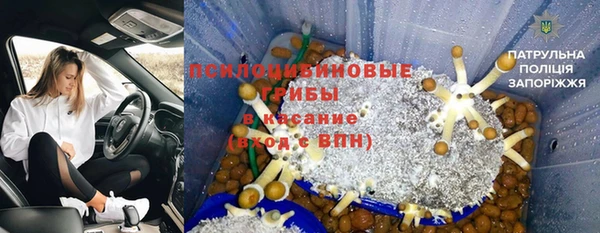 гашиш Дмитриев