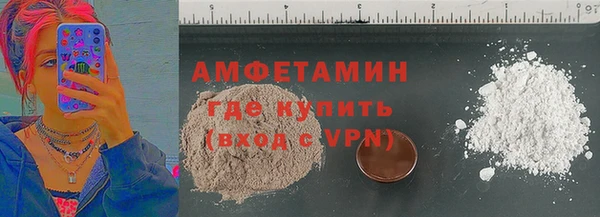 сатива Дмитровск